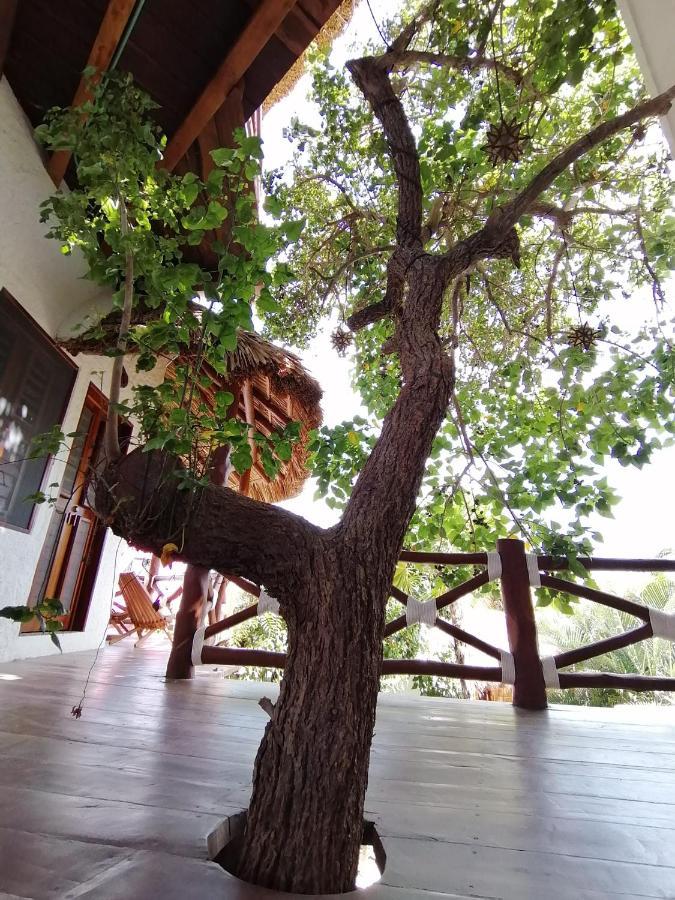 Готель Casa Mech Isla Holbox Екстер'єр фото