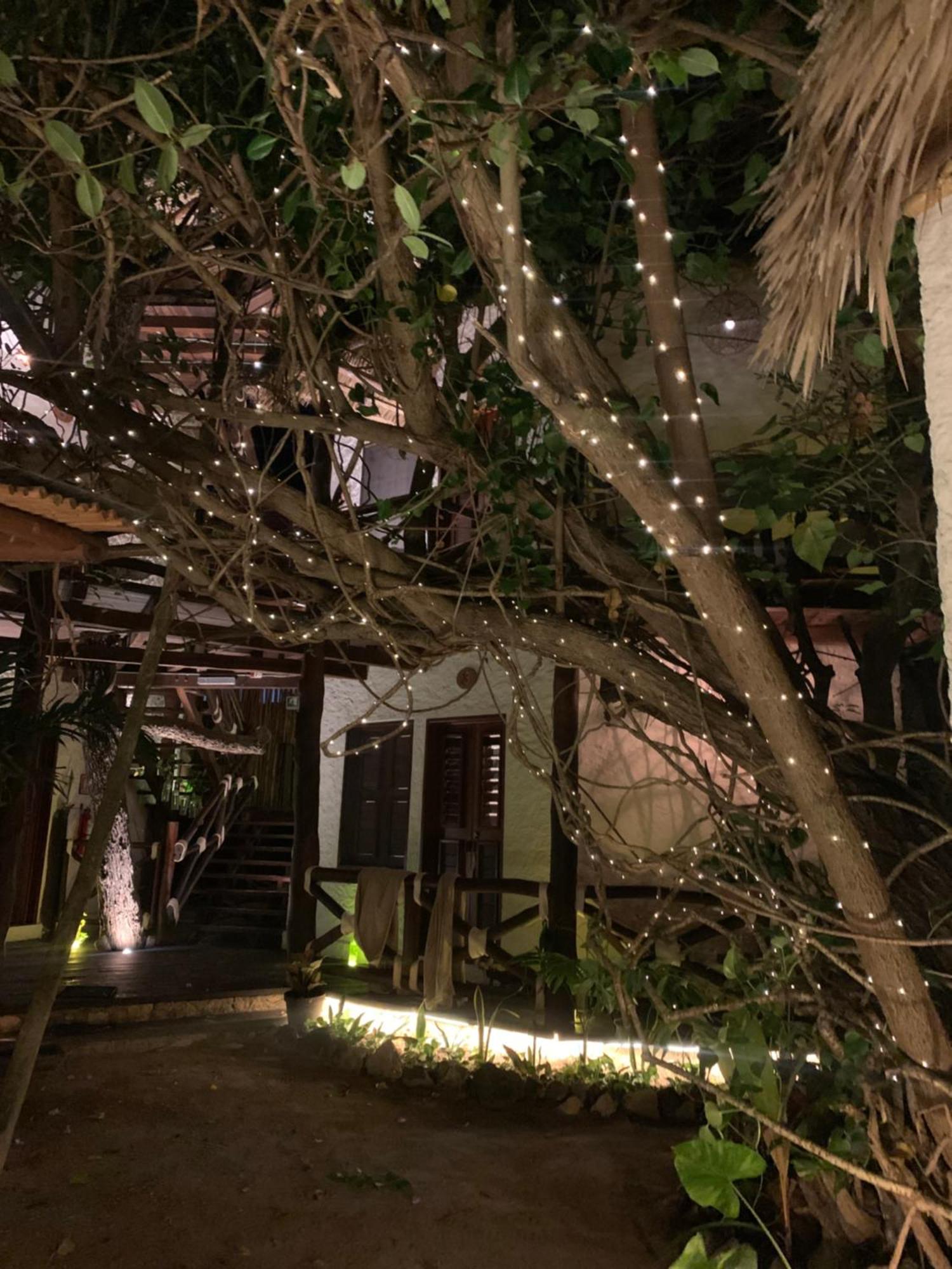Готель Casa Mech Isla Holbox Екстер'єр фото